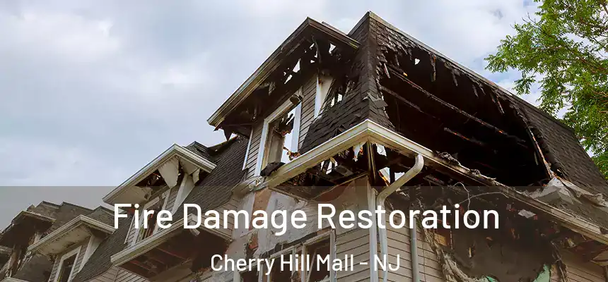 Fire Damage Restoration Cherry Hill Mall - NJ