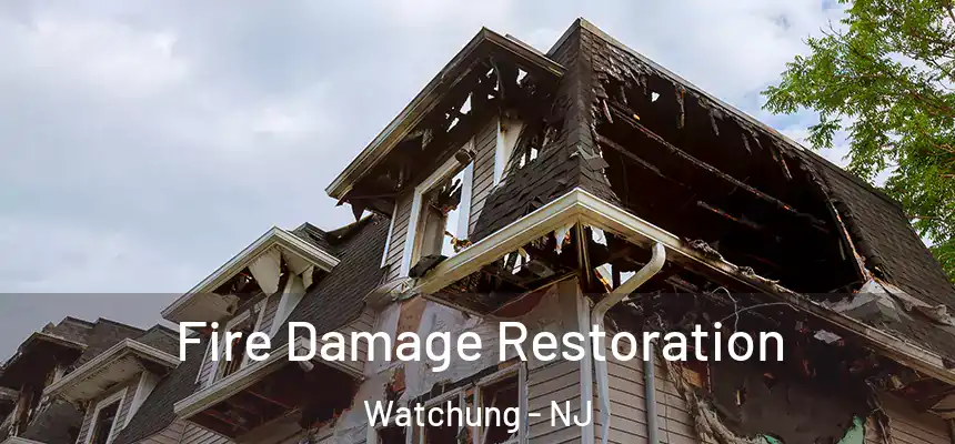 Fire Damage Restoration Watchung - NJ