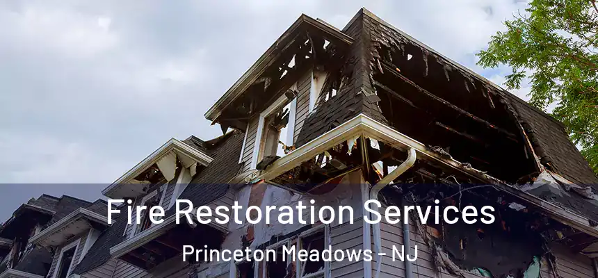 Fire Restoration Services Princeton Meadows - NJ