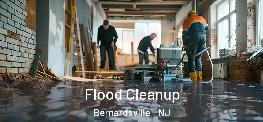  Flood Cleanup Bernardsville - NJ