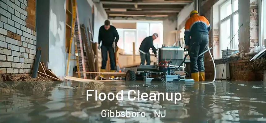  Flood Cleanup Gibbsboro - NJ