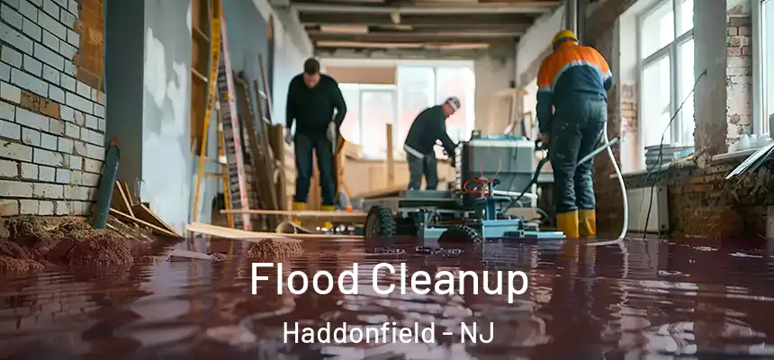  Flood Cleanup Haddonfield - NJ