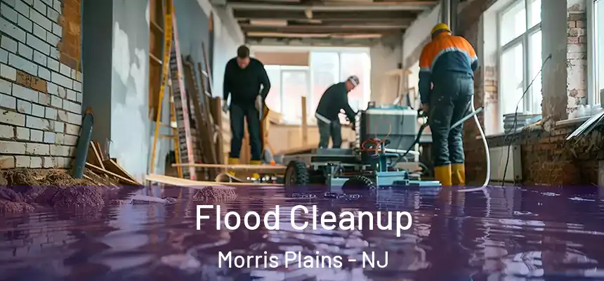 Flood Cleanup Morris Plains - NJ