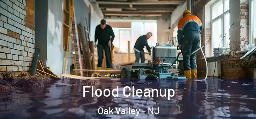 Flood Cleanup Oak Valley - NJ