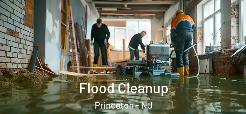 Flood Cleanup Princeton - NJ