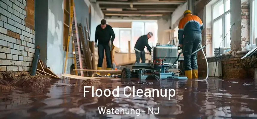 Flood Cleanup Watchung - NJ