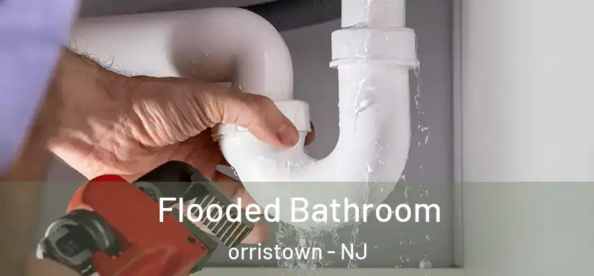  Flooded Bathroom orristown - NJ