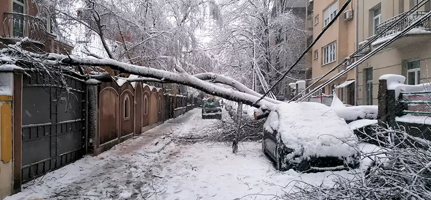Winter Storm Damage Repair in Glassboro