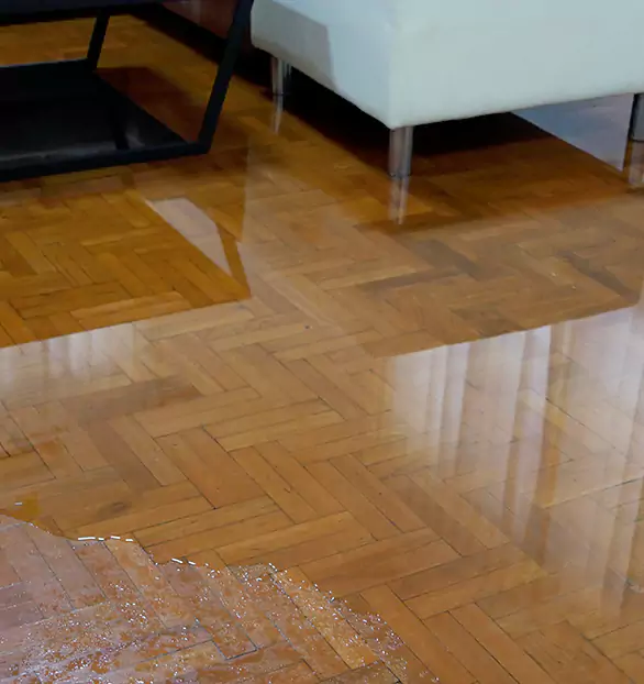 Trusted Emergency Water Restoration Company in Glassboro, NJ