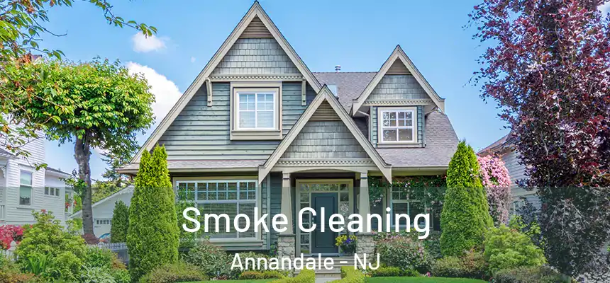 Smoke Cleaning Annandale - NJ