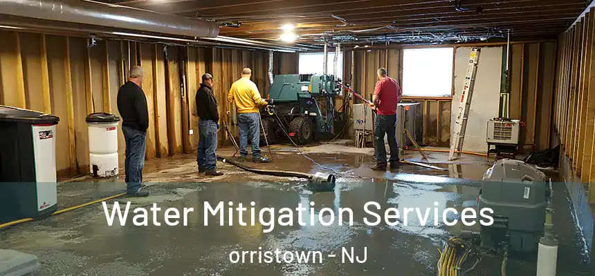  Water Mitigation Services orristown - NJ